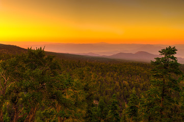 NV-Mt. Charleston-Bristlecone Pines. Weather has made these magnificent trees extremely interesting visually.