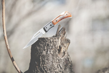 Obraz premium knife on the log