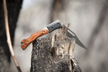 knife on the log