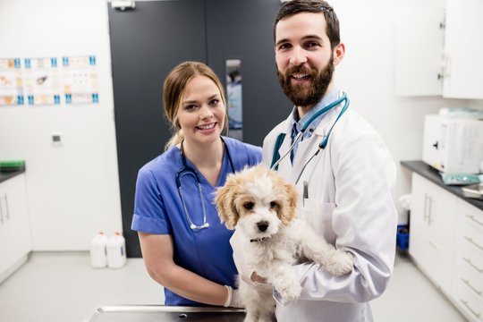 Portrait of vet holding dog