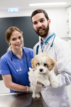 Portrait of vet holding dog