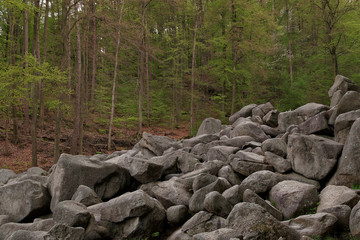 Rocks at the Felsenmeer in Germany.