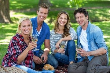 Friends having a picnic with wine