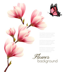 Fototapeta premium Nature background with blossom branch of pink flowers and butter