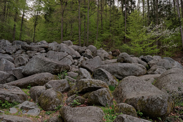 Rocks at the Felsenmeer in Germany.