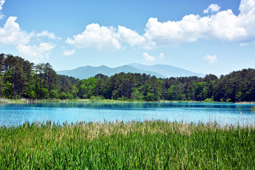裏磐梯五色沼　弁天沼