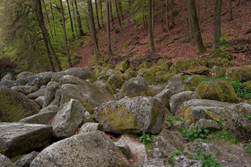 Rocks at the Felsenmeer in Germany.