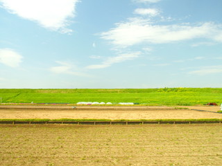 Naklejka premium 春の畑風景