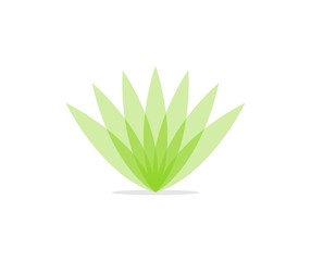 Lotus leaf logo