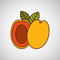 fresh fruit design 