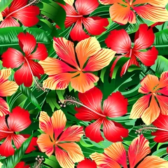 Fotobehang Tropische Bladeren Tropical orange and red variegated hibiscus flowers seamless pat  © adamfaheydesigns