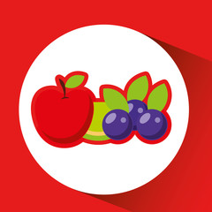 fresh fruit design 