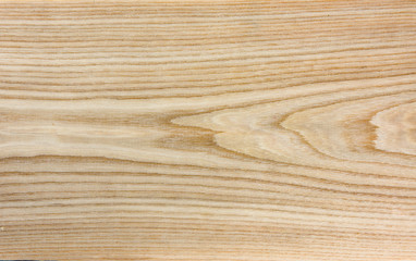 Fototapeta na wymiar Elm wood texture - natural wood texture