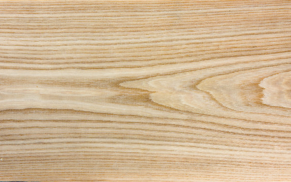 Elm wood texture - natural wood texture