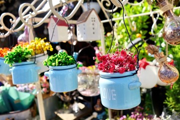 Decorative dried flower in pot hanging