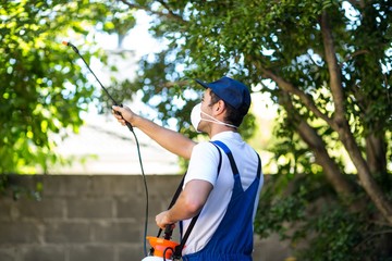 Rear view of pest control worker