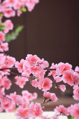 Obraz na płótnie Canvas Artificial the cherry blossoms