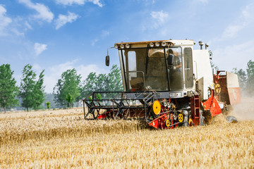 Obraz premium Combine harvester harvest ripe wheat on a farm
