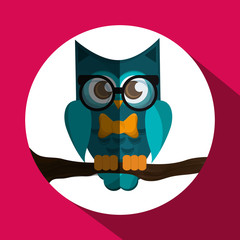 Vector illustration of an Owl, graphic design, animal represent knowledge