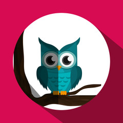 Vector illustration of an Owl, graphic design, animal represent knowledge