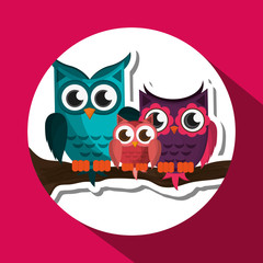 Group of owls, vector illustration, graphic design, animal represent knowledge