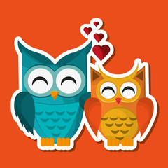 Group of owls, vector illustration, graphic design, animal represent knowledge