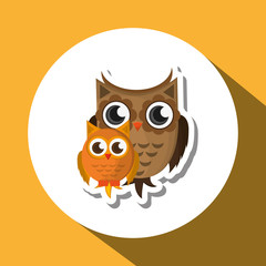 Vector illustration of an Owl, graphic design, animal represent knowledge