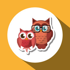 Vector illustration of an Owl, graphic design, animal represent knowledge