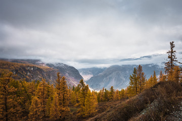 Beautiful landscape with mountain background
