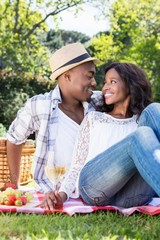 Naklejka premium Young couple having a picnic in the park