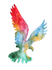 watercolor illustrtion of the flying bird