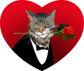 Heart shape, cat and red rose