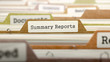 file folder labeled as summary reports in multicolor archive. closeup view. blurred image. 3d render.