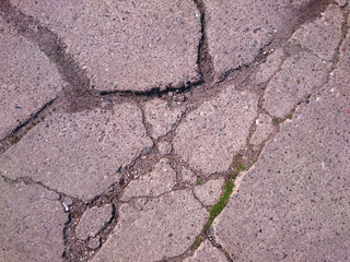 interesting crack pattern in the stone ground with green grass growing inside