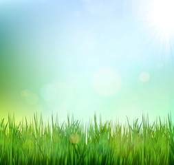 Fototapeta na wymiar Green grass lawn with sunrise on blue sky