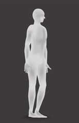standing human body silhouette, side view, vector illustration