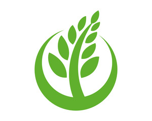 Simple Grain Farm Crescent