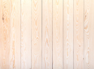 Fototapeta premium Texture pine background