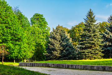 Fototapeta na wymiar old city park with chestnut and conifer trees