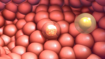 Nucleus in Human Body