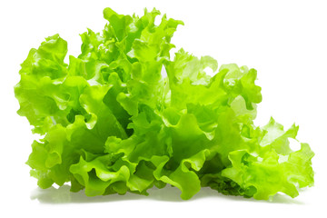 Salad leaves