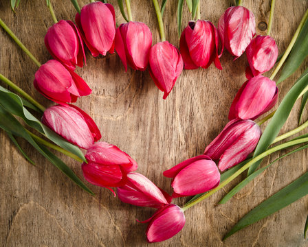 heart-shaped frame of fresh tulips laying on an old rustic woode