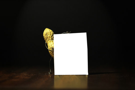 Peanut holding a blank card for advertisement