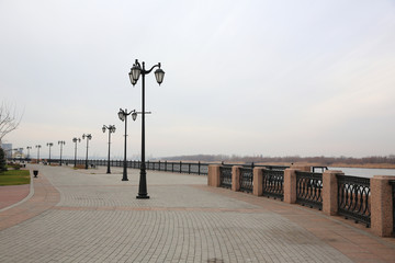 Pigeon on promenade of Volga river, Astrakhan, Russia