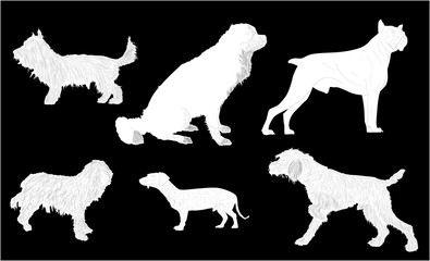 six white isolated dog sketches
