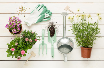 Spring - gardening tools and flowers in pots on white wood © pinkyone