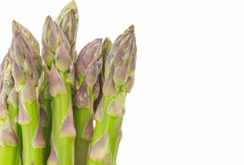 Bunch of asparagus tips closeup, on white background with copy-space