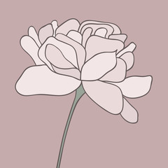 Vector illustration of flower hand drawn.