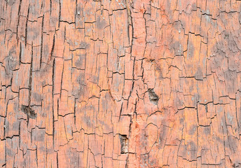 wood texture. background old panels