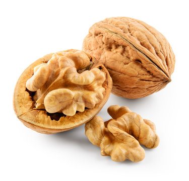 Walnut isolated on white background. With clipping path.